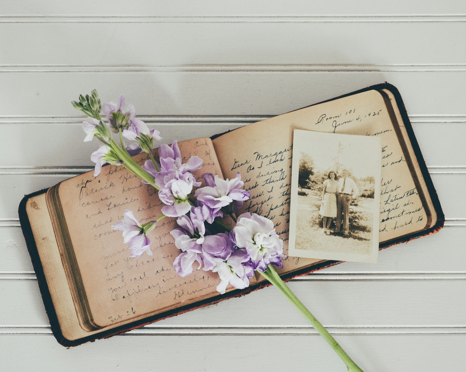 VINTAGE JOURNAL COLLECTION | JOURNAL VENUE