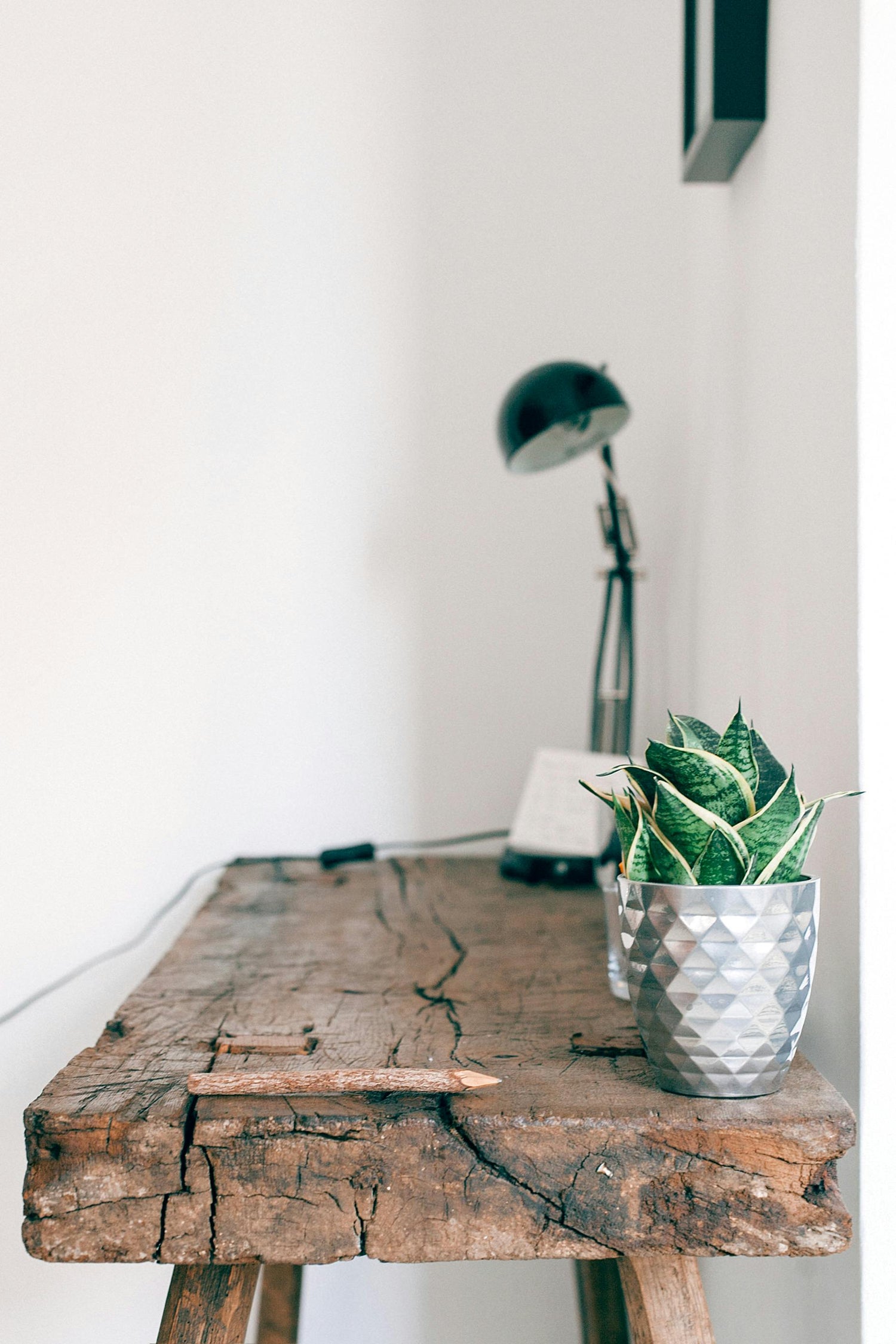 DESK PLANT DECOR - JOURNAL VENUE